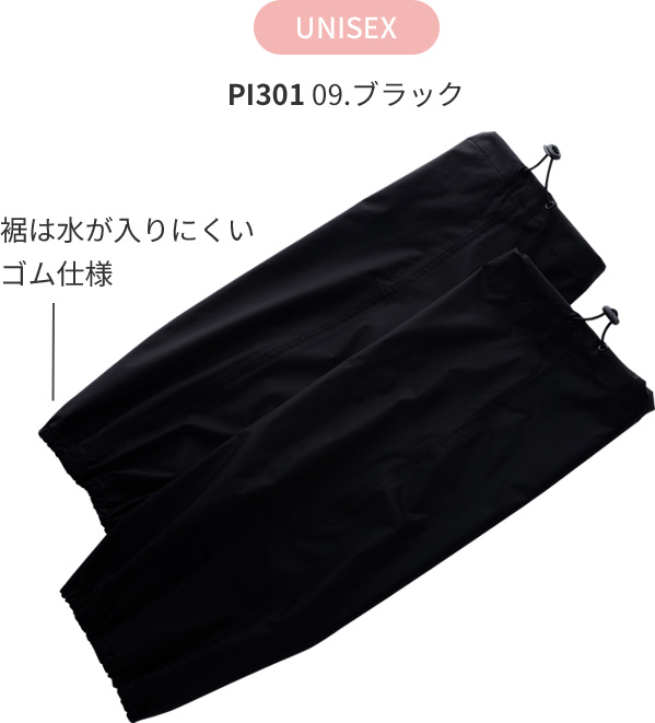 PI301 09.ブラック